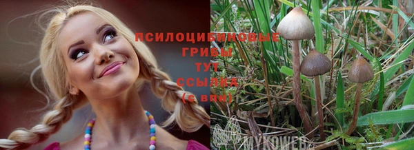 гидропоника Краснослободск